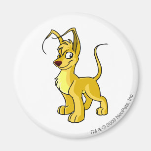 Imán Gelert Yellow