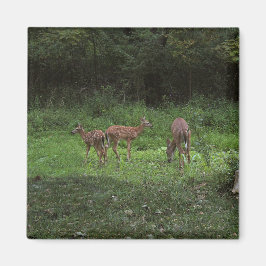 Imán Gemelos y su mamá