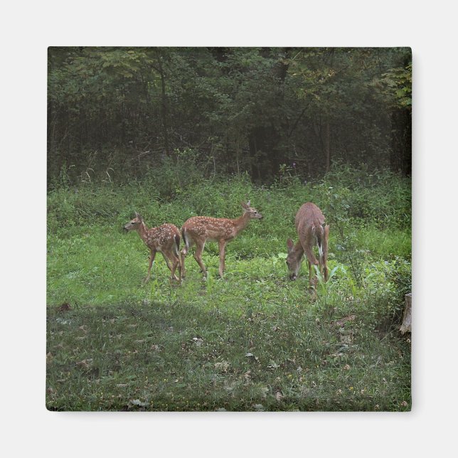 Imán Gemelos y su mamá (Frente)