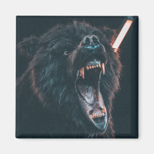 Imán Gente de oso enojado joven de oso negro
