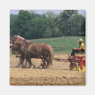 Imán Gente sencilla del país Amish en la agricultura co