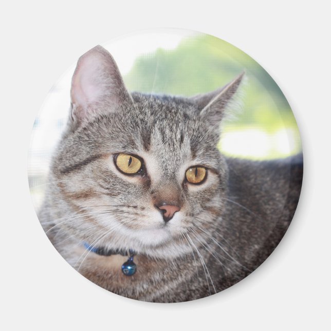 Imán George (Frente)