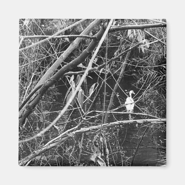 Imán george del lago (Frente)