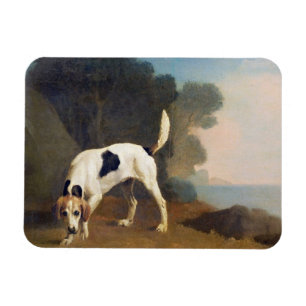 Imán George Stubbs   Foxhound on the Scent, c.1760 (pet