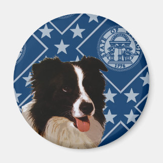 Imán Georgia Border Collie
