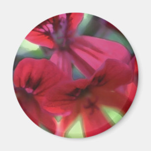 Imán Geranios pintados