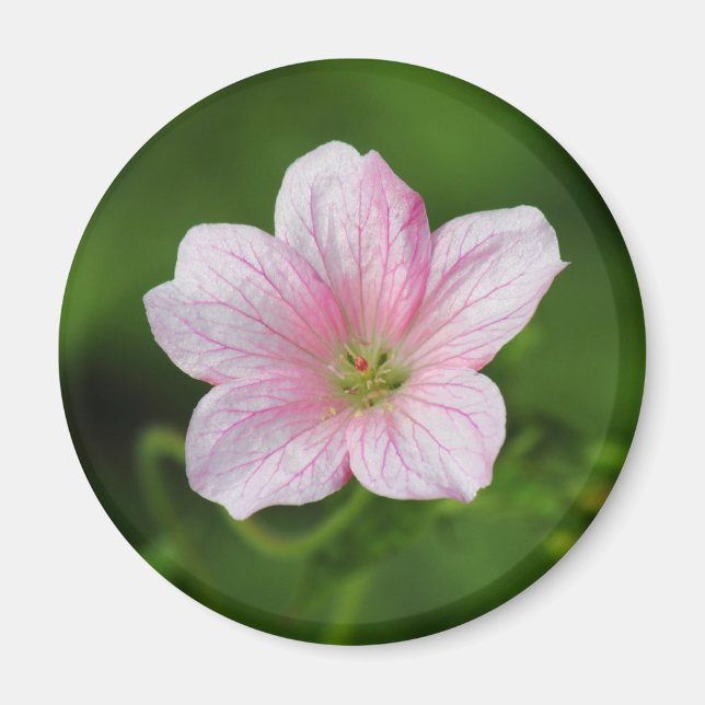 Imán Geranium (Frente)