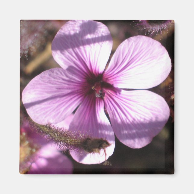 Imán Geranium Magnet (Frente)