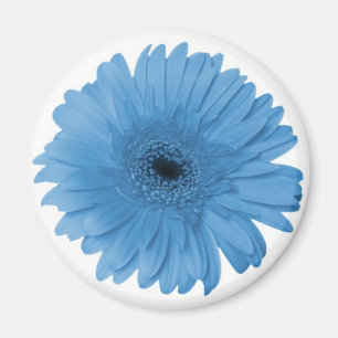 Imán Gerber Daisy