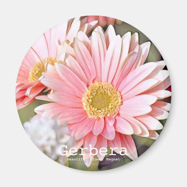 Imán Gerbera (Frente)