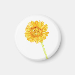Imán Gerbera daisy