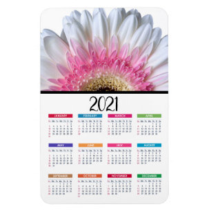 Imán Gerbera gris rosa y blanco  Calendario 2021