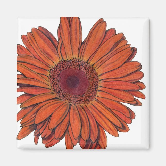 Imán Gerbera Magnet (Frente)