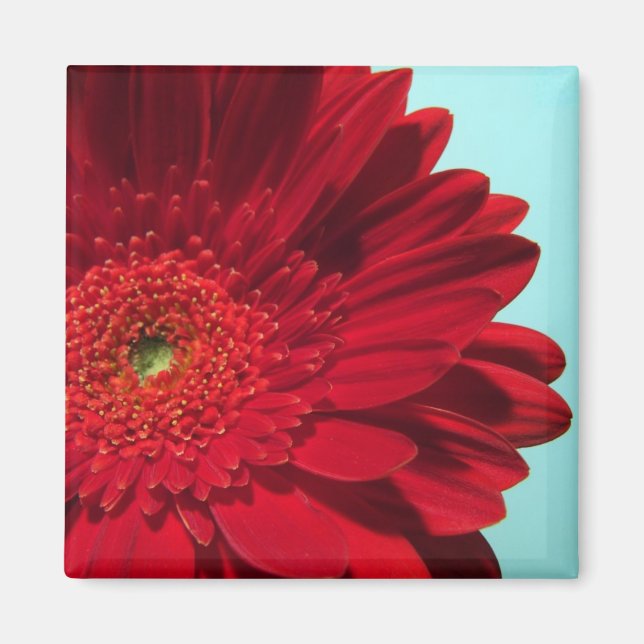 Imán germinador (Frente)