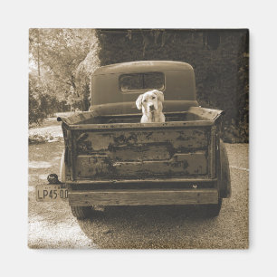 Imán Get Out of Dodge - Dog Photograph