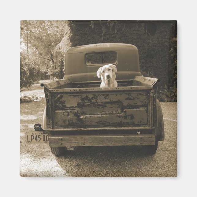 Imán Get Out of Dodge - Dog Photograph (Frente)