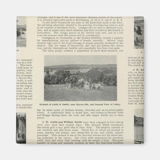 Imán Geyserville, California (Frente)