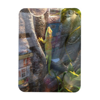 Imán Giant Day Gecko Magnet