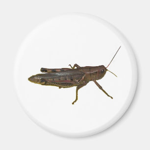 Imán Giant Grasshopper