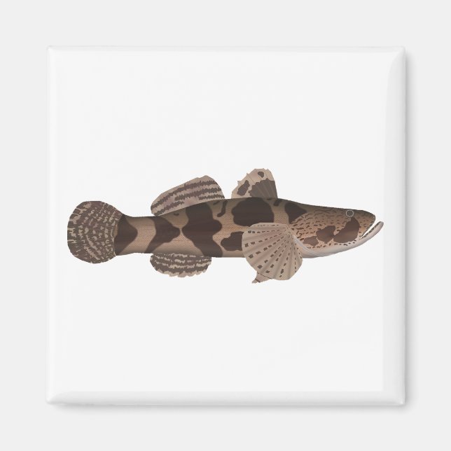Imán Giant Gudgeon (Frente)