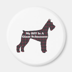 Imán Giant Schnauzer BFF
