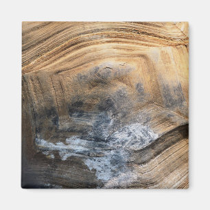 IMÁN GIANT TORTOISE SHELL