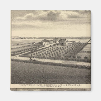 Imán Gibson Nebraska