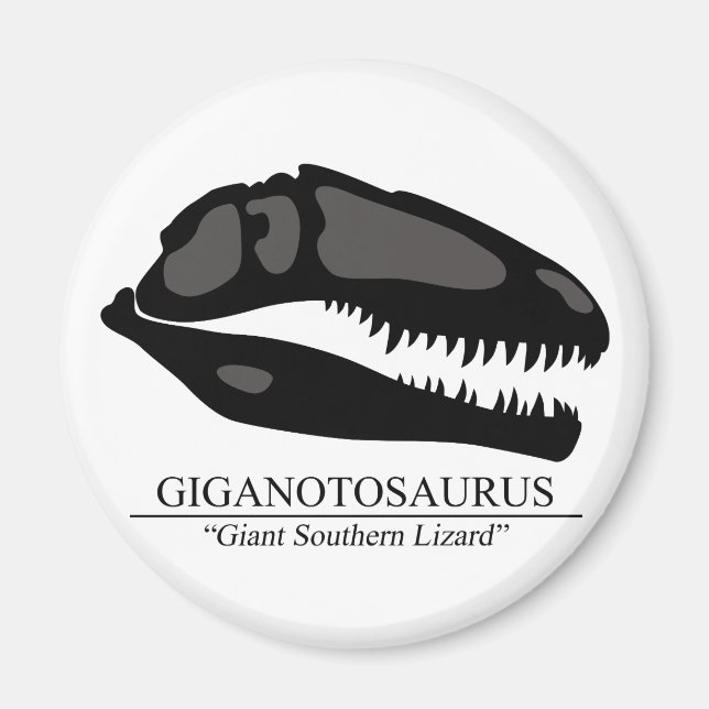 Imán Giganotosaurus Skull (Frente)