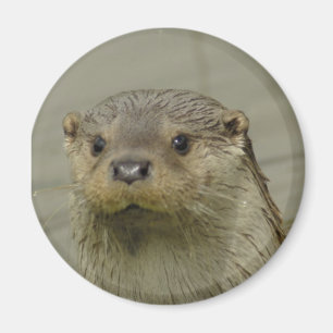 Imán gigante de la nutria de río