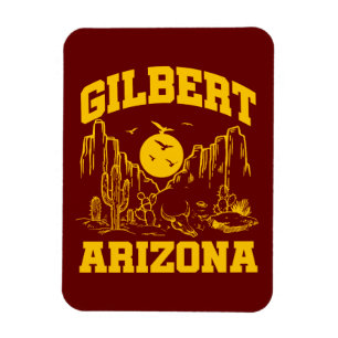 Imán Gilbert, Arizona