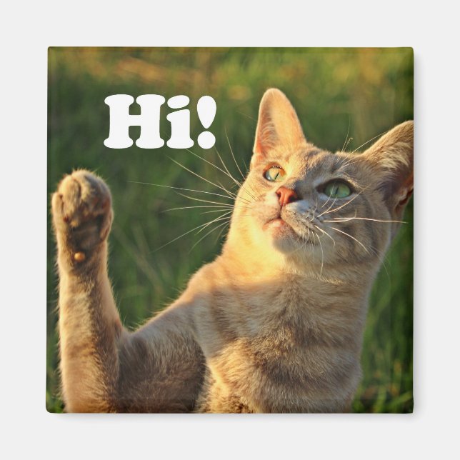 Imán Ginger Cat diciendo ¡Hola! (Frente)