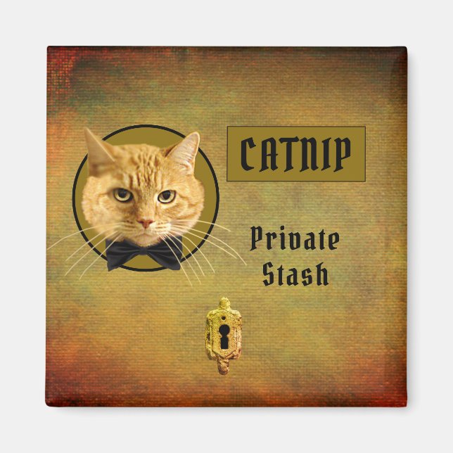 Imán Ginger Cat Personalizable Catnip Magnet (Frente)