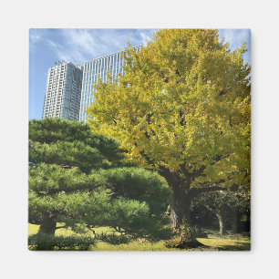 Imán Ginkgo amarillo dorado y árbol de pino