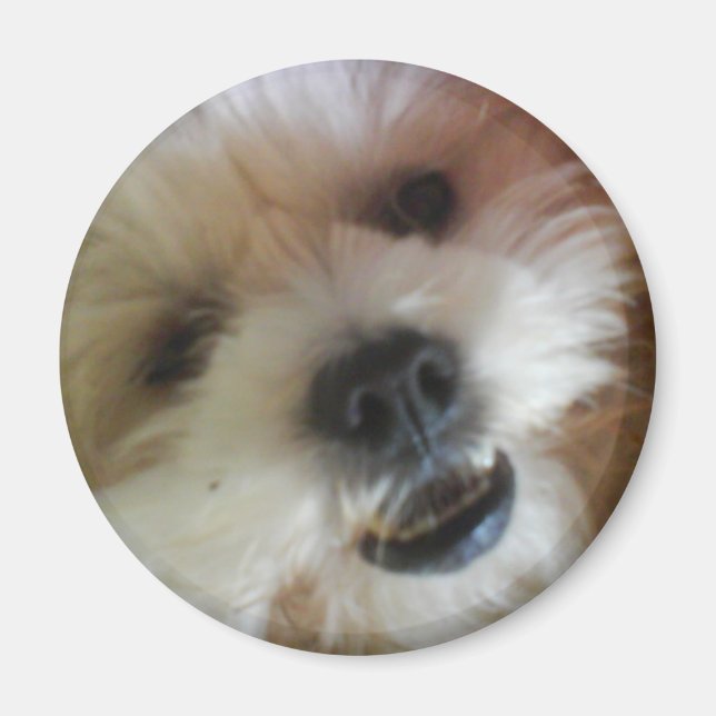 Imán Ginny Pop Magnet (Frente)