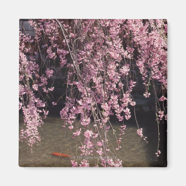 Imán Gion, Prefectura de Kyoto, Japón (Frente)