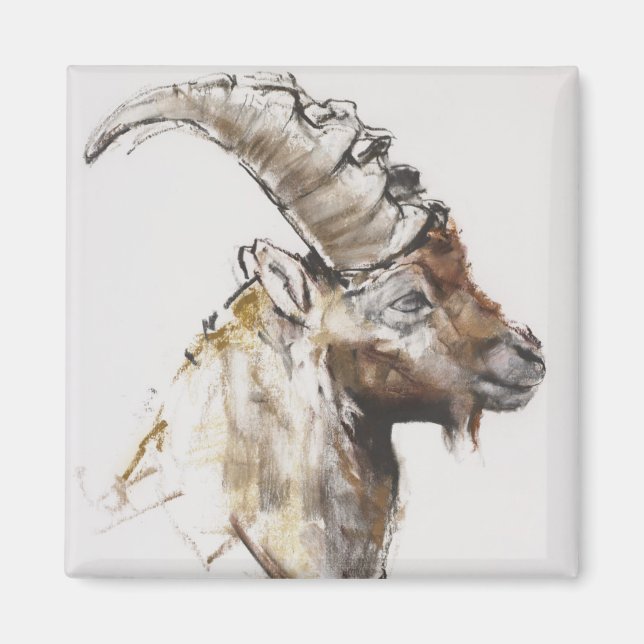 Imán Giovanotto 2005 (Frente)