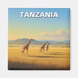 Imán Girafas del parque nacional de Tanzania Serengeti