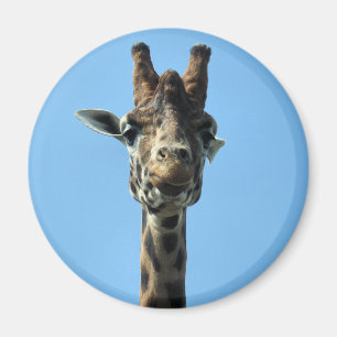 IMÁN GIRAFFE