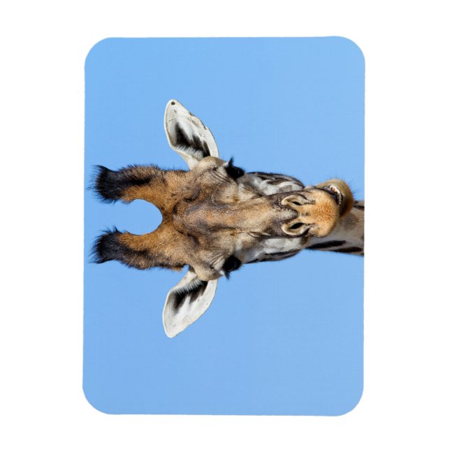 Imán Giraffe (Vertical)