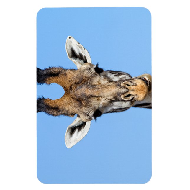 Imán Giraffe (Vertical)
