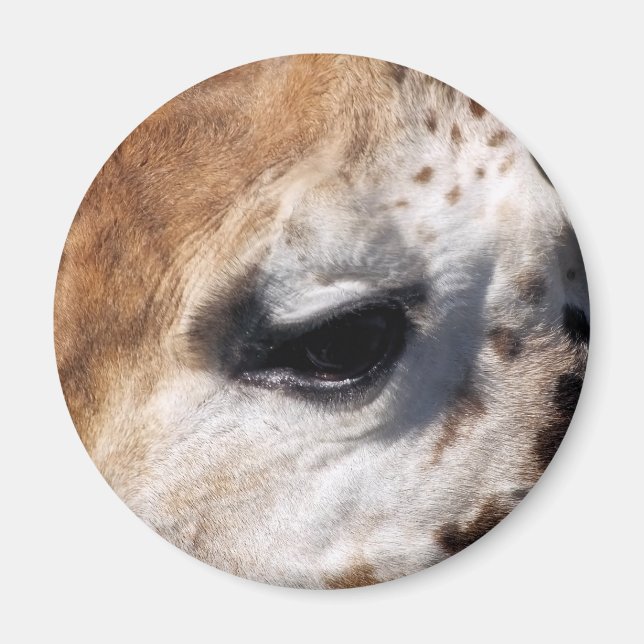 IMÁN GIRAFFE (Frente)