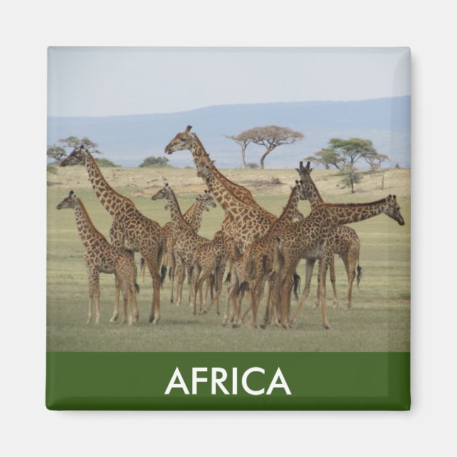 Imán giraffe africa (Frente)