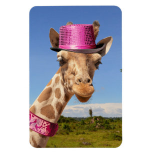 Imán Giraffe en gorra rosa brillante