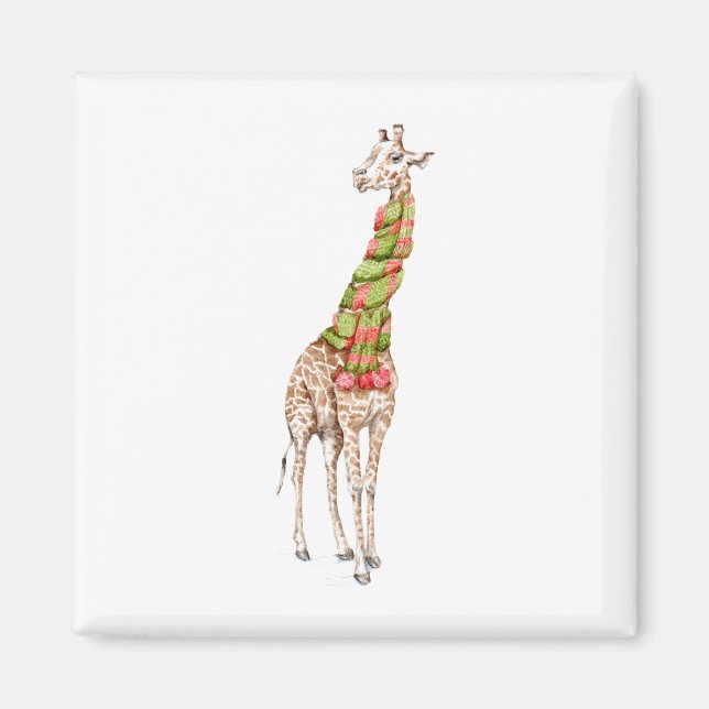 Imán Giraffe en una bufanda (Frente)