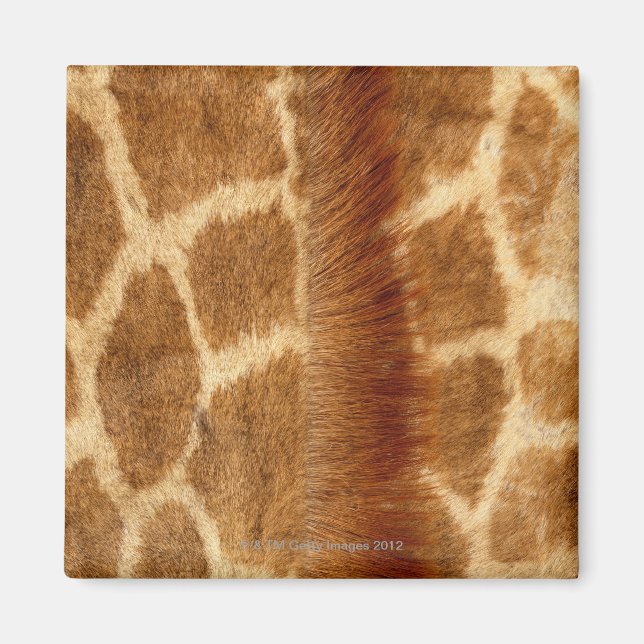 Imán Giraffe Fur (Frente)