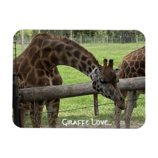 Imán Giraffe Love...