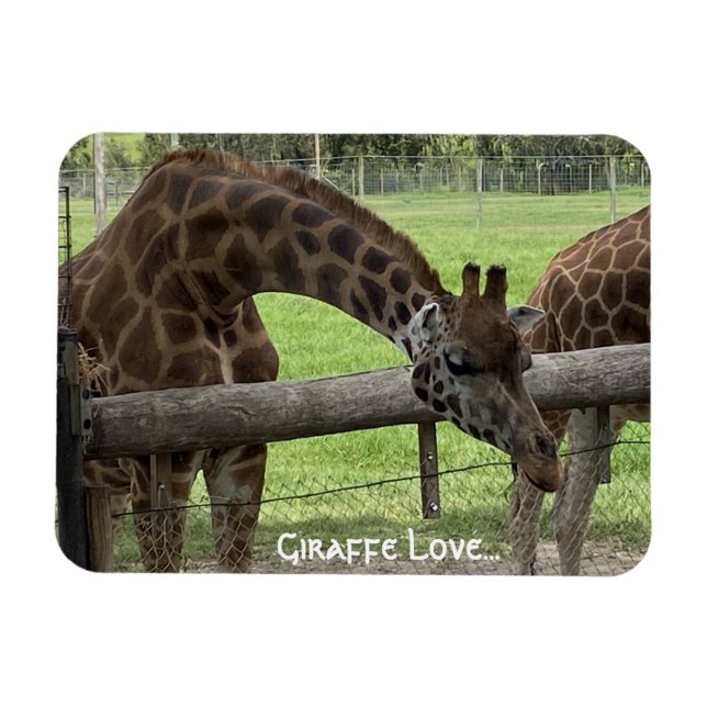 Imán Giraffe Love... (Horizontal)