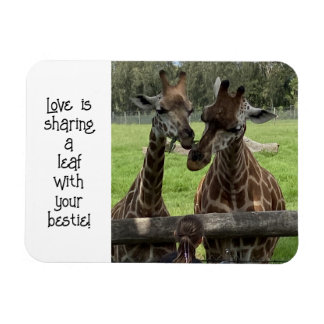 Imán Giraffe Love...