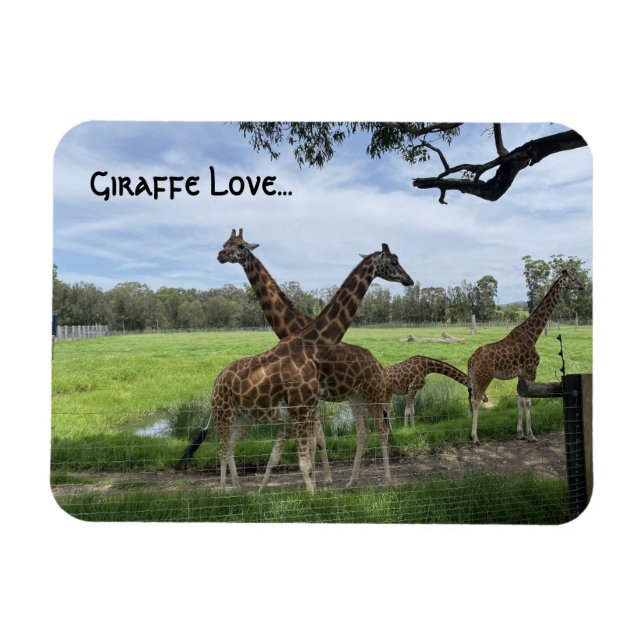 Imán Giraffe Love...Magnet (Horizontal)