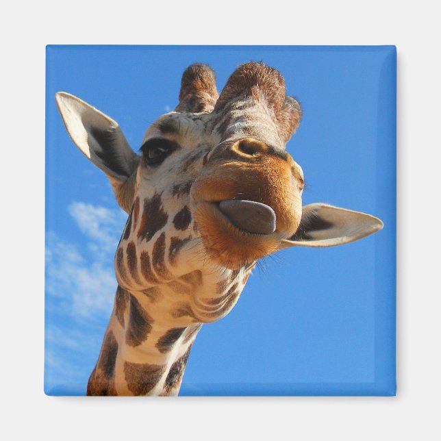 Imán Giraffe Magnet (Frente)